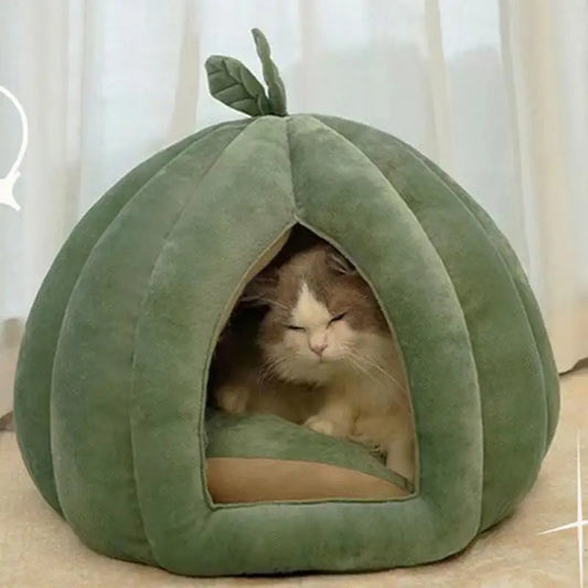 Pumpkin Pet Bed