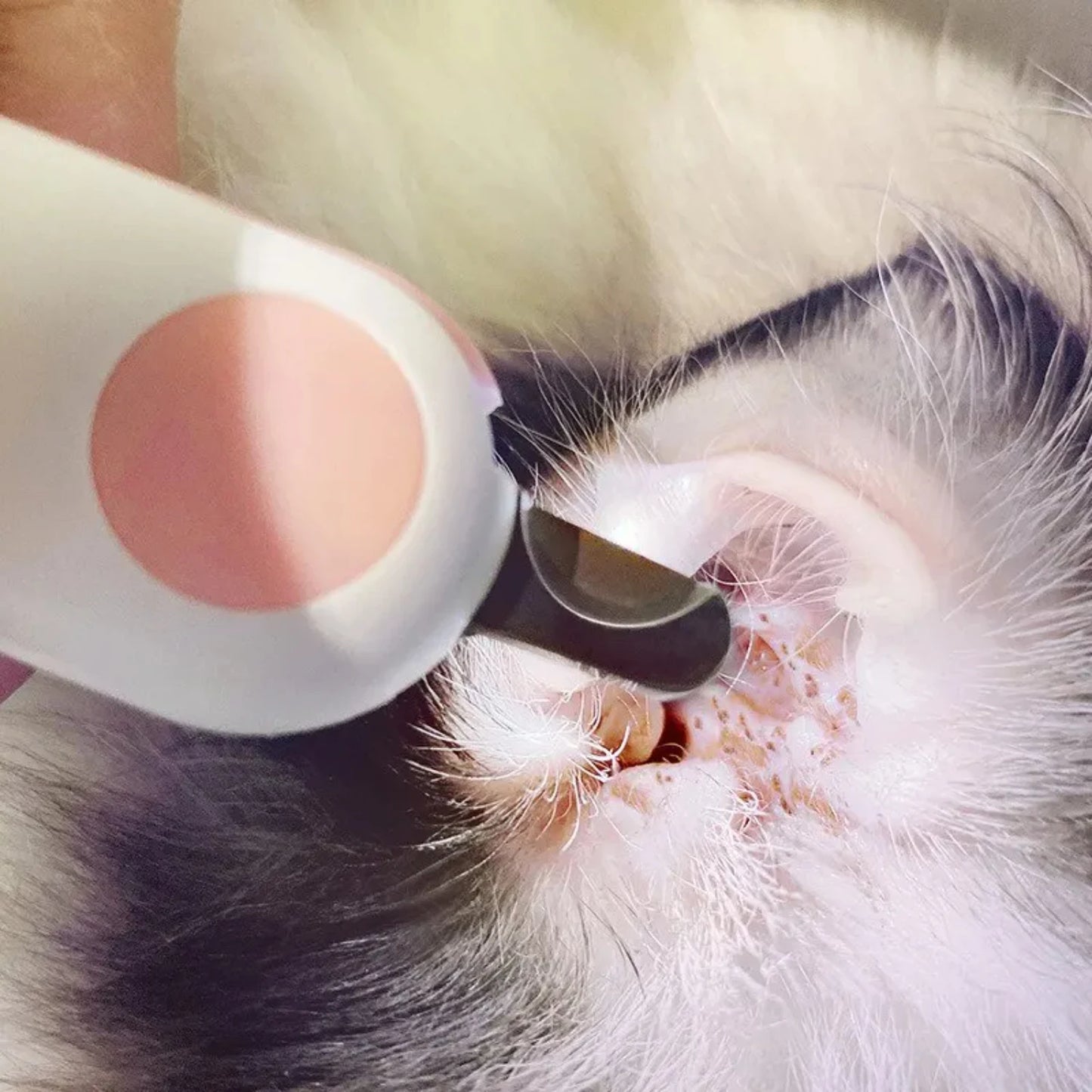 Professional LED Pet Nail Clipper