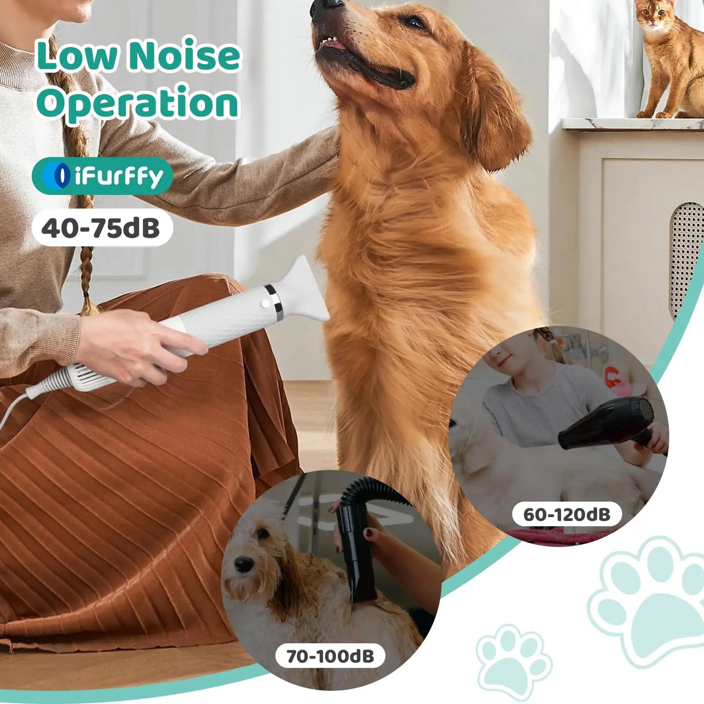 Professional Pet Hair Dryer